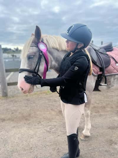 Post 57 of Show jumping with title Dressyr 