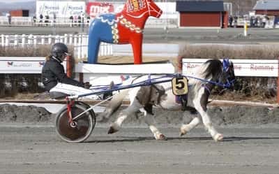 Inlägg 98 av Ponnytrav med titeln Ponnytrav 