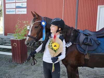 Inlägg 9 av Morganhäst med titeln Och hon hoppade hem en till idag🏵🤍