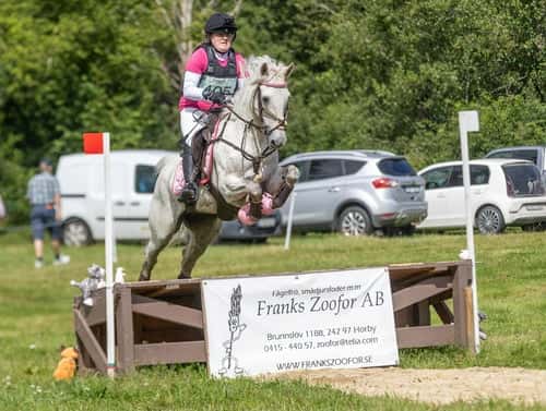 Image of 🌟Oslipad diamant för de högsta klasserna🌟