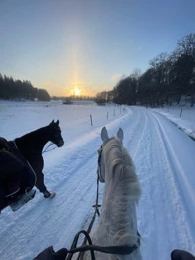 Inlägg 73 av Allround