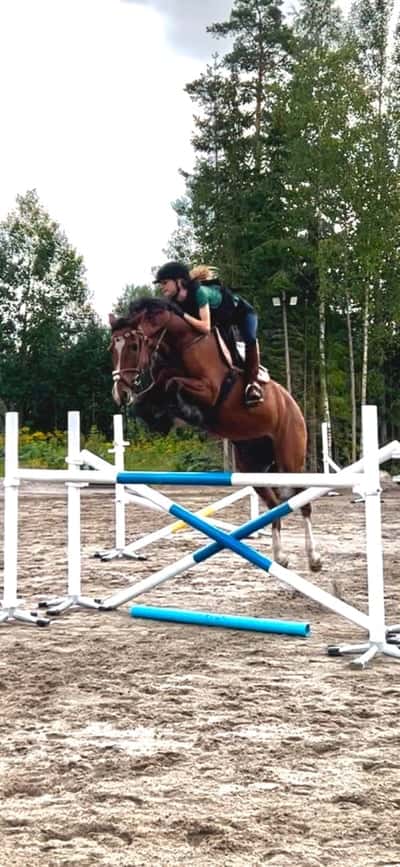 Inlägg 105 av Allround med titeln Enögd hästis 🫶🏻