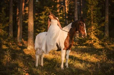 Inlägg 55 av Allround