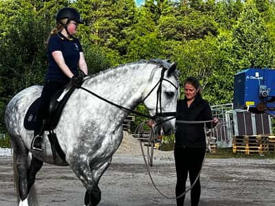 Inlägg 5 av Trickridning med titeln Lektion för Jossi 🤍⭐️