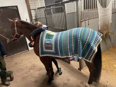 Inlägg 163 av Allround med titeln Mysfilten