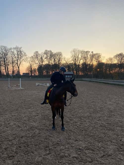 Bild av Varmblodig travare söker hem som ridhäst