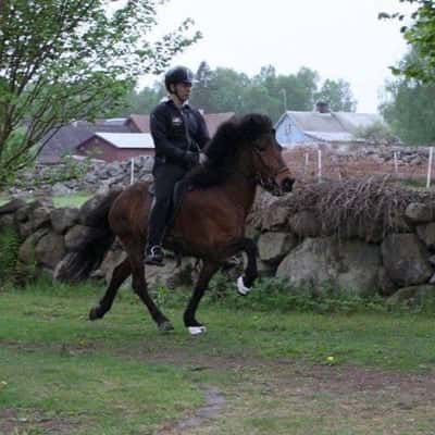 Litla-Mín från Löjtnantsgården