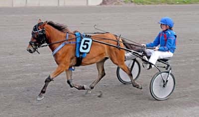 Inlägg 6 av Utställning med titeln Godkänt kval!