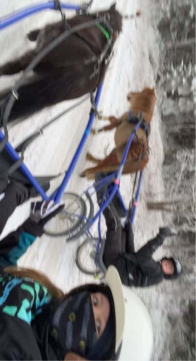 Inlägg 13 av Sportkörning med titeln Titanicorn & Skumpirumpidump ute på äventyr❤️