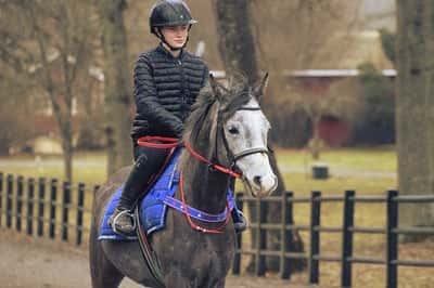 Inlägg 26 av Ponnygalopp med titeln Ponnygalopp 