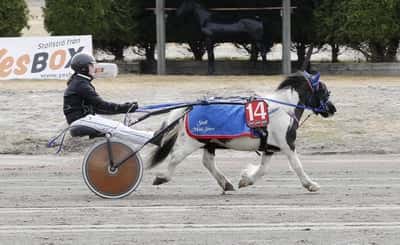 Inlägg 102 av Ponnytrav med titeln Ponnytrav 