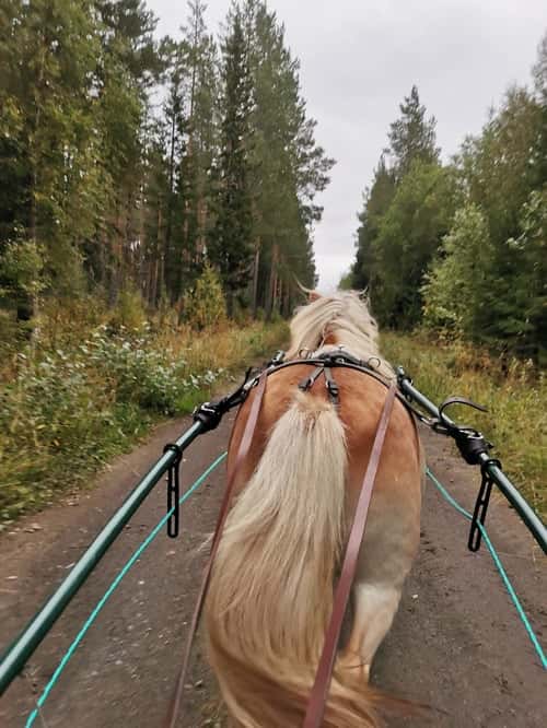 Bild av Trevlig kille 