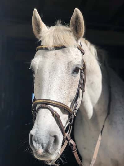 Inlägg 64 av Allround