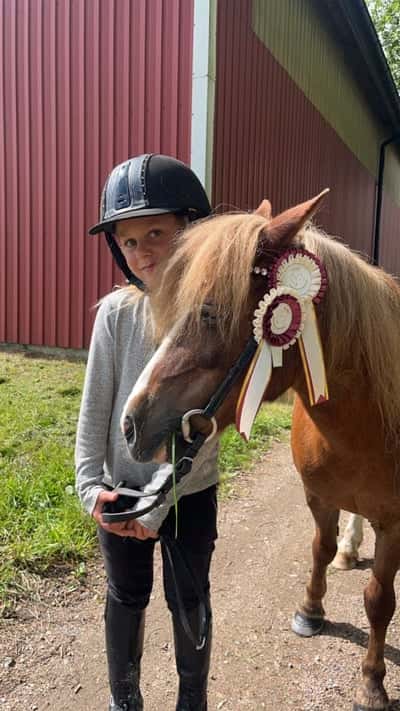 Inlägg 4 av Avel med titeln Bruks