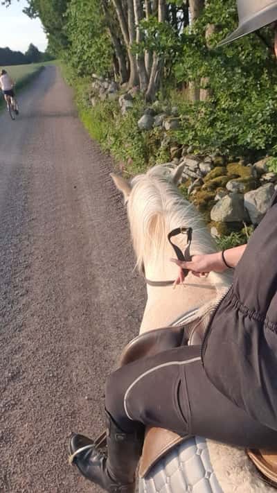 Post 18 of Western with title Uteritt me morsan