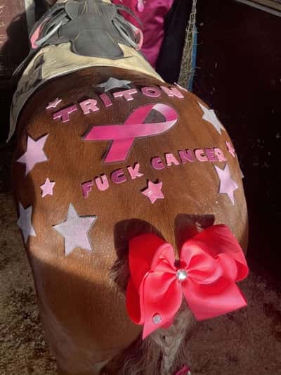 Inlägg 4 av Galopp med titeln Smörblommans Spirit💘 #Smörblommansspirit