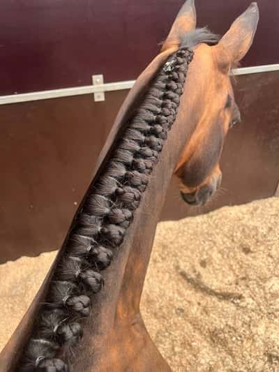 Inlägg 24 av Annan med titeln Hur stilig är han inte? 🎀🦄💕