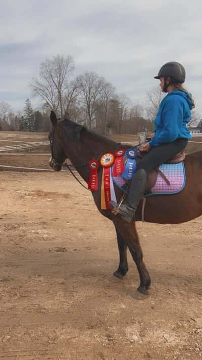 Post 130 of Show jumping