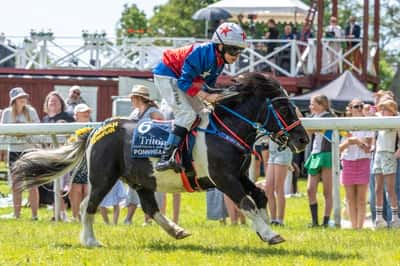 Inlägg 13 av Shetlandsponny med titeln Ponnygalopp 