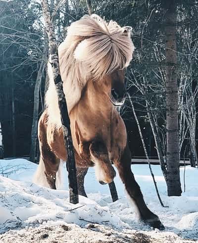 Inlägg 105 av Allround med titeln Morgen energi🌶️🤍🙈