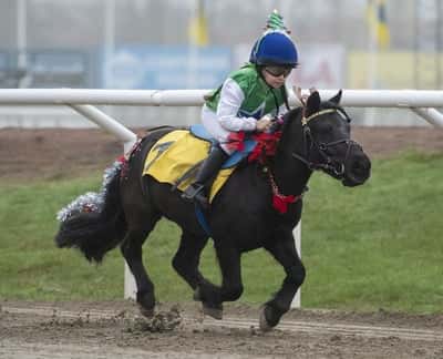 Inlägg 25 av Galopp med titeln Vinst på Jägersro 