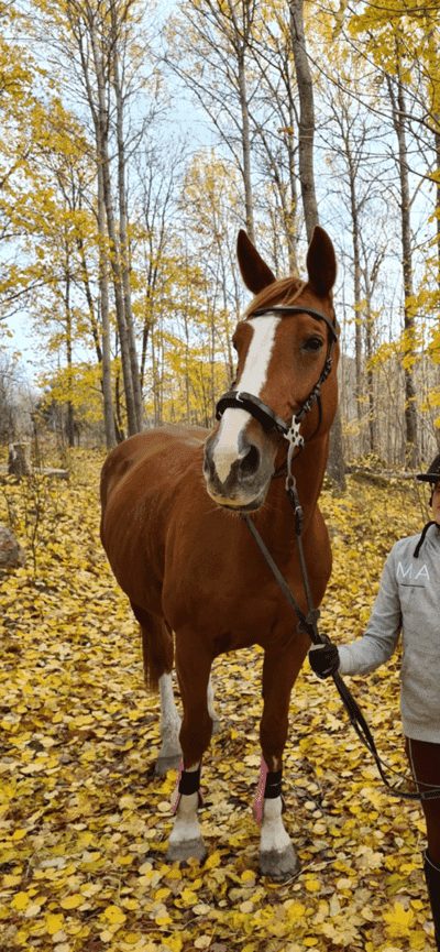 Inlägg 9 av Allround