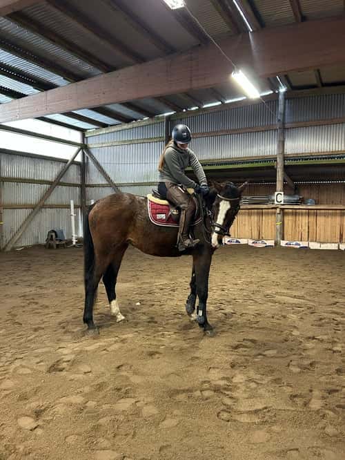 Bild av 🌟 Lovande 3-åring med fantastiskt temperament