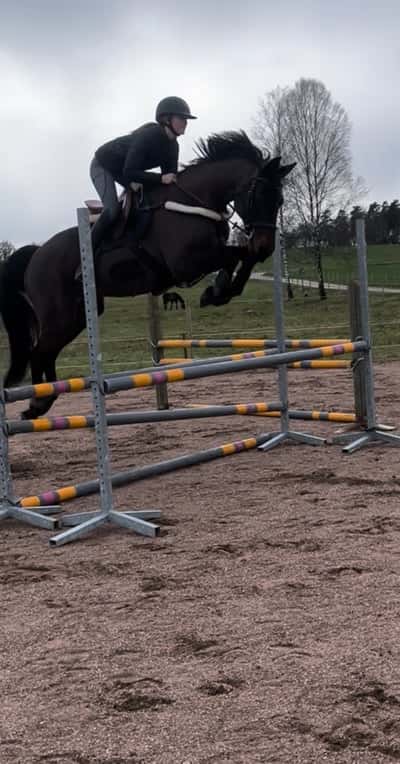 Inlägg 24 av Allround