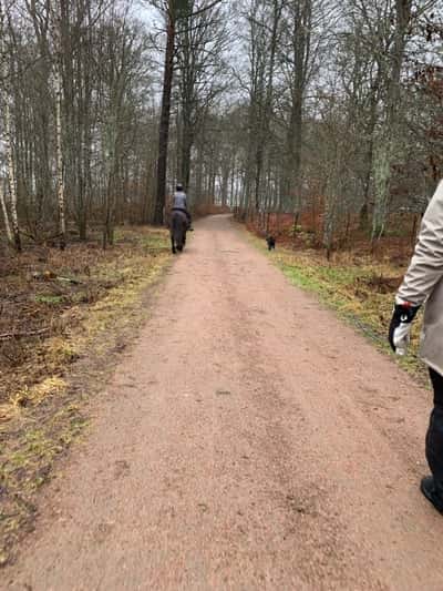 Inlägg 79 av Allround med titeln Runda med islänningen Teitur idag!!