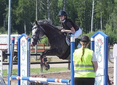 Inlägg 32 av Allround med titeln Hopptävling 