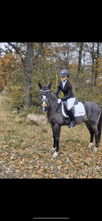 Post 479 of Show jumping with title PB på 70% i Fei Lag❤️