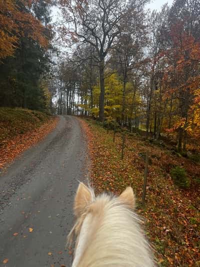 Inlägg 54 av Allround