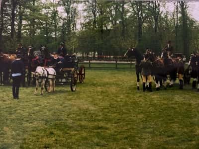 Inlägg 26 av Sportkörning med titeln Utmärkelse för mest vältränade 