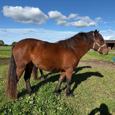 Min Lilla Gränslös