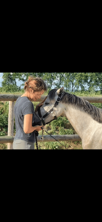 Inlägg 119 av Allround