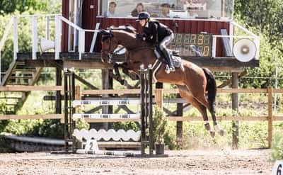 Bollerup Pacific Blue