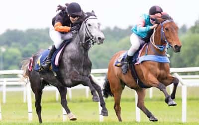 Inlägg 30 av Allround