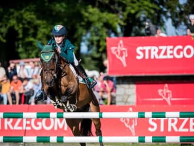 Post 17 of Show jumping with title European Team Gold 🥇🇮🇪