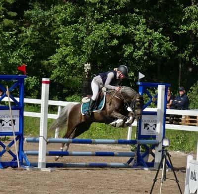 Euforiawinner Of Love