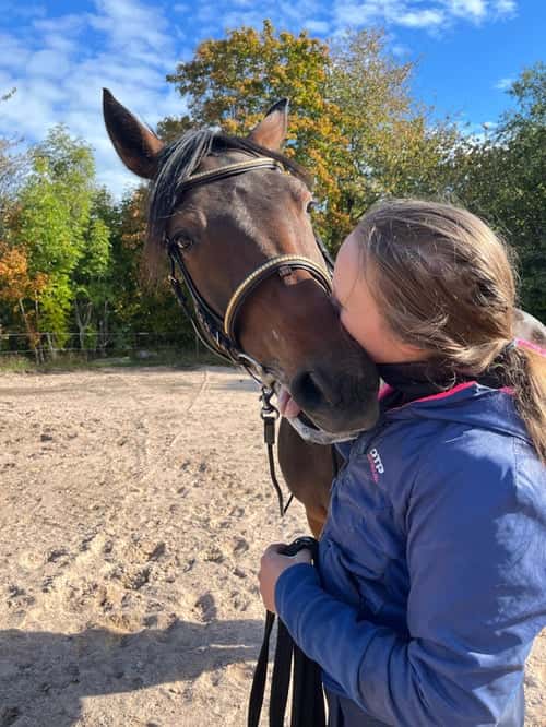 Bild av Gullis Elvis