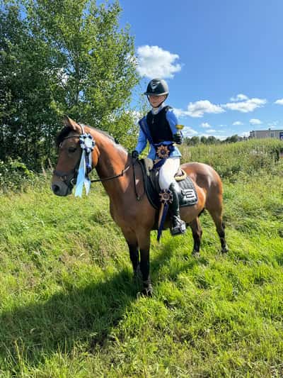 Post 51 of Show jumping