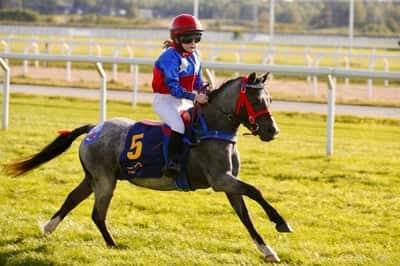 Inlägg 4 av Welsh Mountain med titeln Ponnygalopp