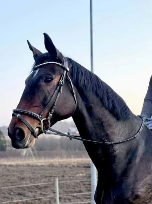 Bild av Sto till dig som vill ha en snäll & positiv kompis 🩷