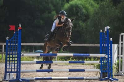 Inlägg 14 av Allround med titeln Hopptävling 