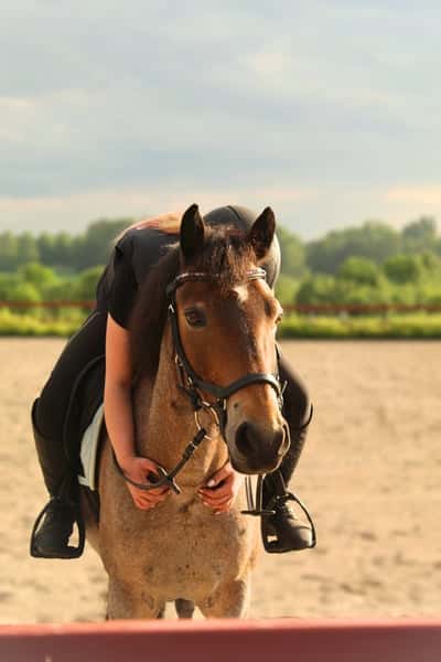 Fernyknap soldier on