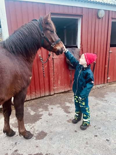 Inlägg 81 av Allround med titeln ❤️❤️