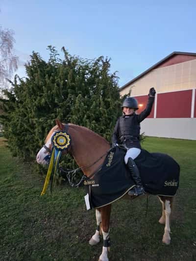 Vångsundas Paddington