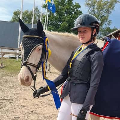 Post 219 of Show jumping with title Dm guld <3