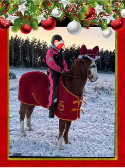 Inlägg 17 av Svensk Ridponny med titeln Mysiga jul bilder med min fina❤️‍🩹❤️