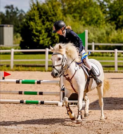 Post 394 of Show jumping with title Vinst i grevagården❤️